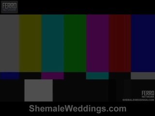 Shemale weddings ylpeänä esittelee senna, camile, patricia_bismarck sisään porno kohtaus